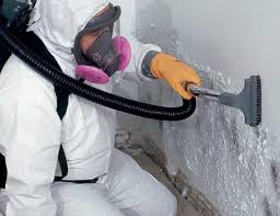 Best Real Estate Mold Inspection in Kohler, WI